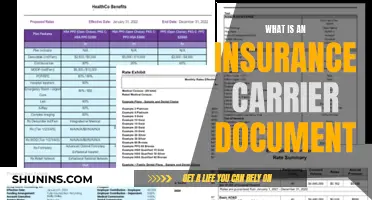 Insurance Carrier Document: Definition and Uses