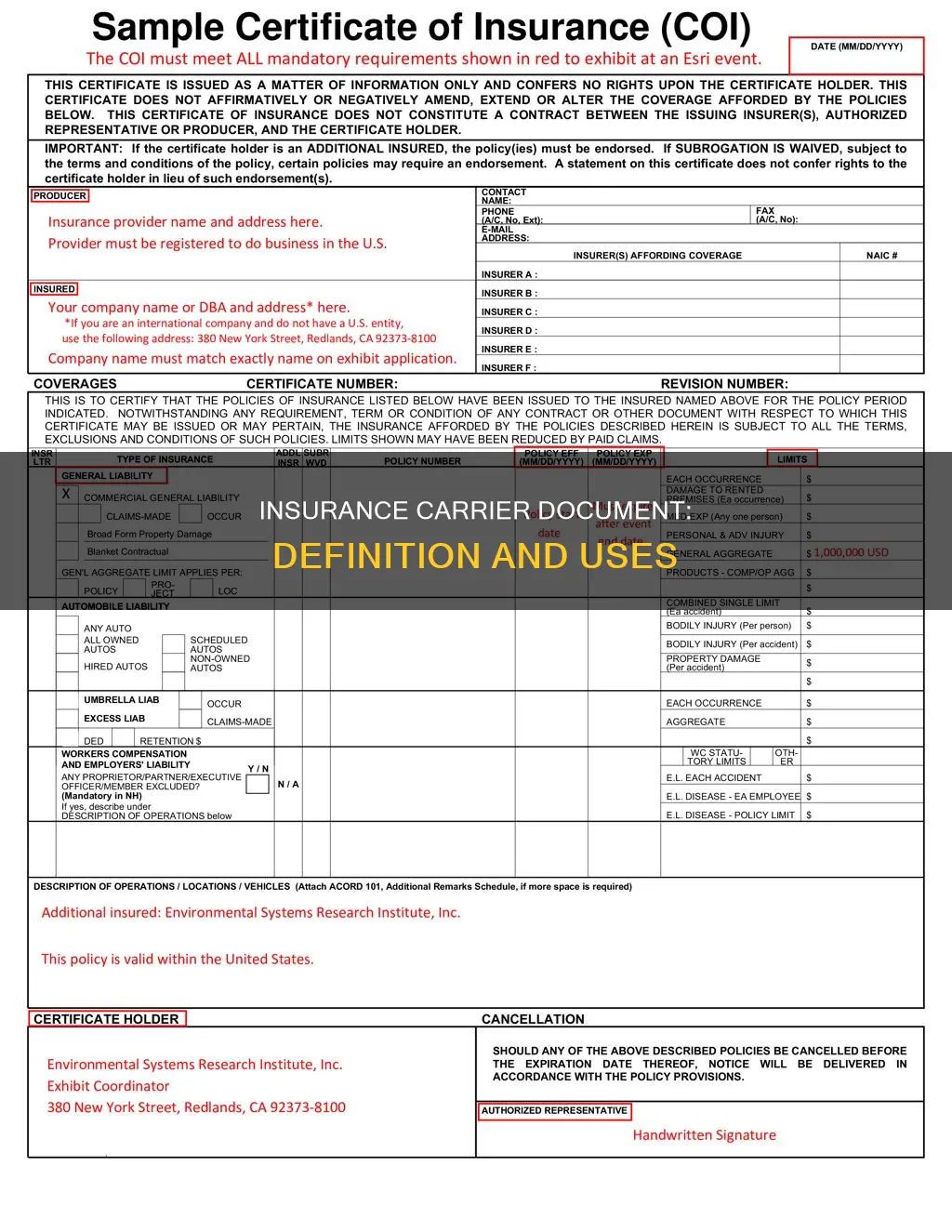 what is an insurance carrier document