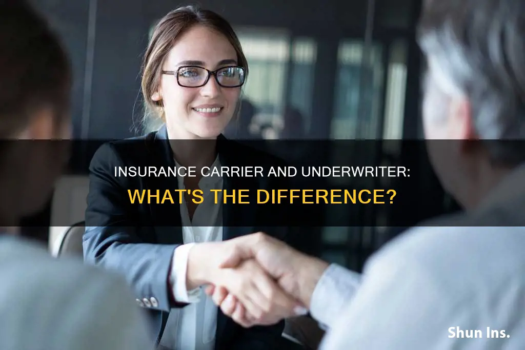 what is an insurance carrier vs underwriter