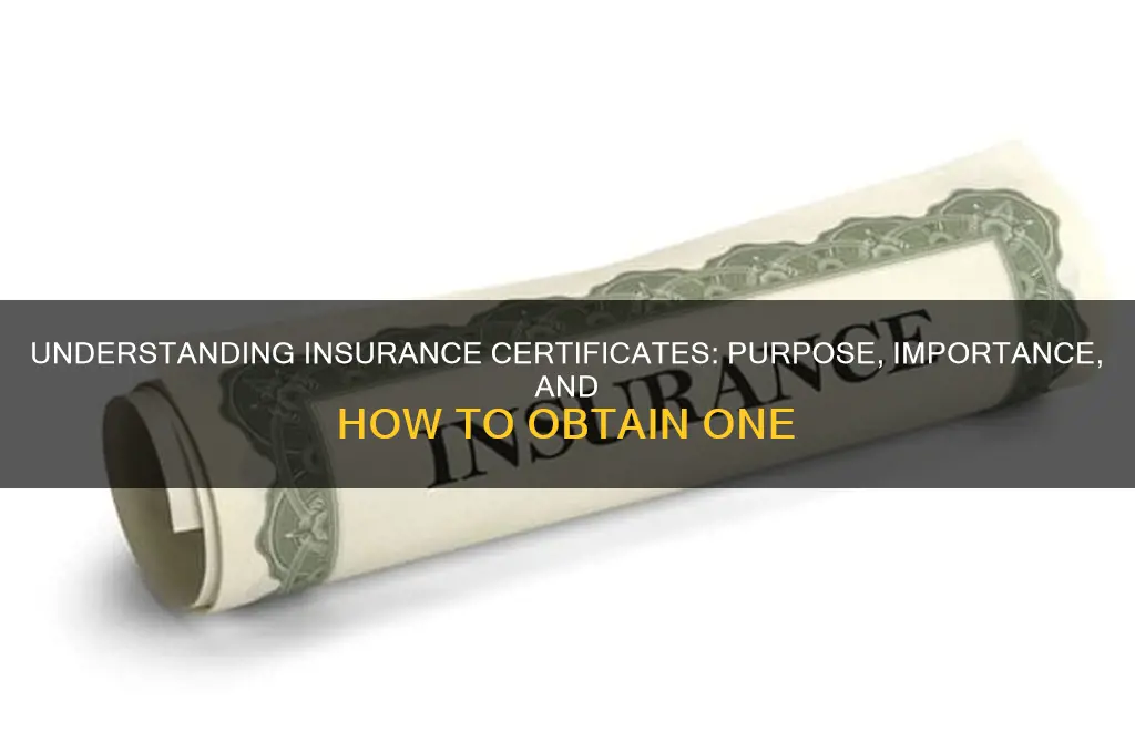 what is an insurance certificate