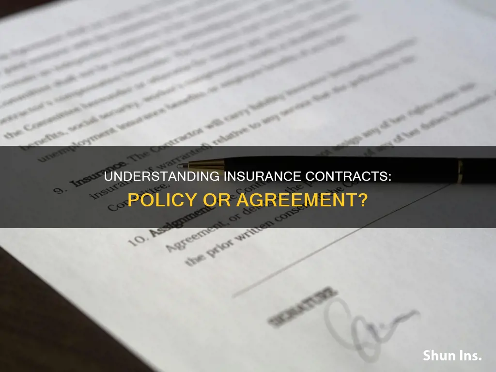 what is an insurance contract called
