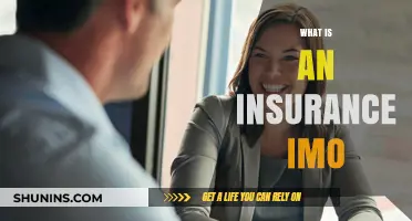 Understanding Insurance Marketing Organizations: What is an Insurance IMO?