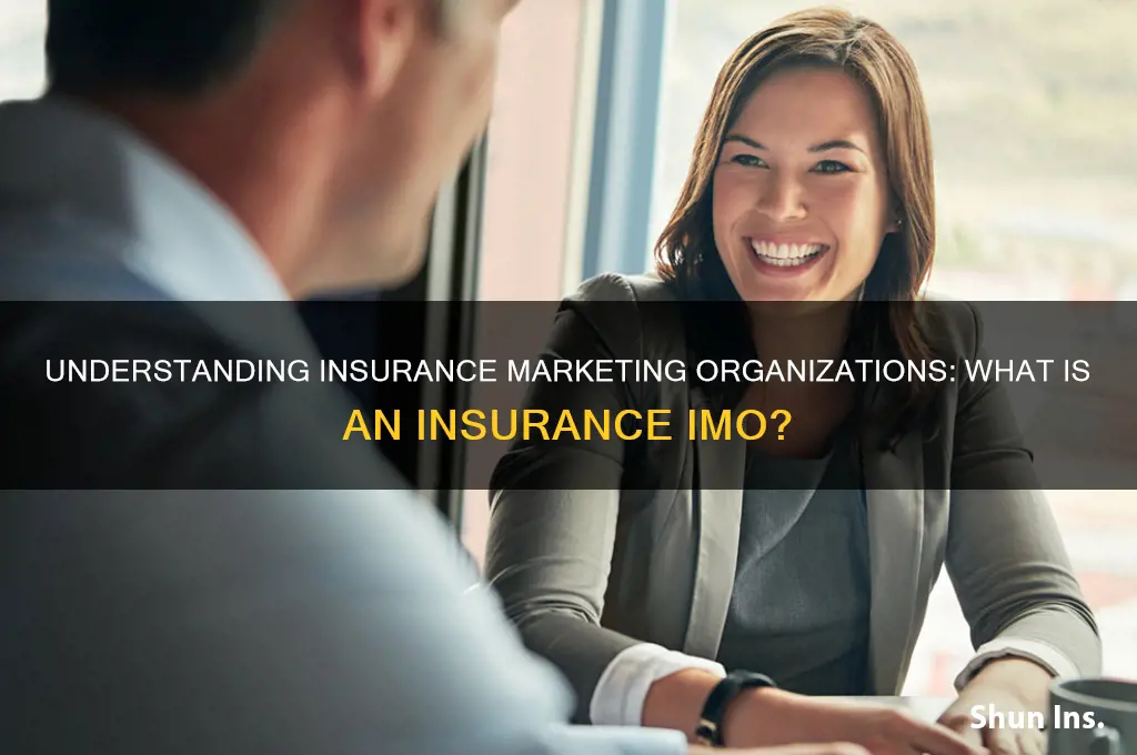what is an insurance imo