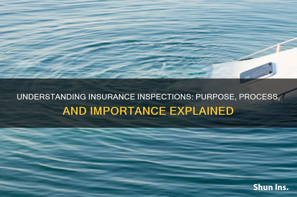 what is an insurance inspection