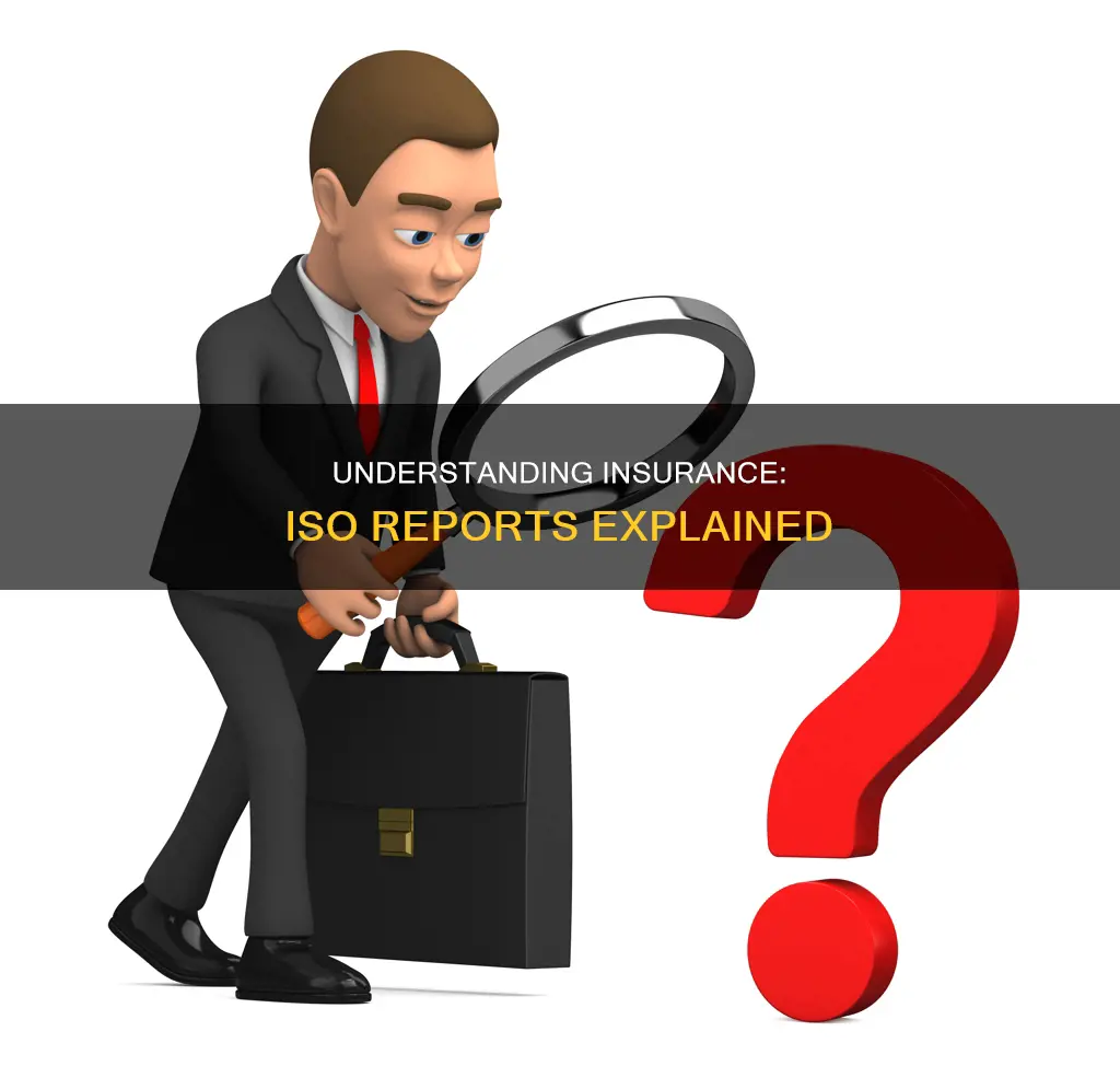 what is an insurance iso report