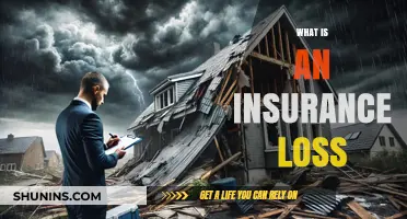 Understanding Insurance Loss: Definition, Causes, and Impact on Policyholders
