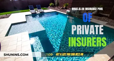 Understanding Private Insurers' Pooling of Risks and Resources