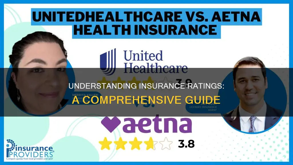 what is an insurance rating service