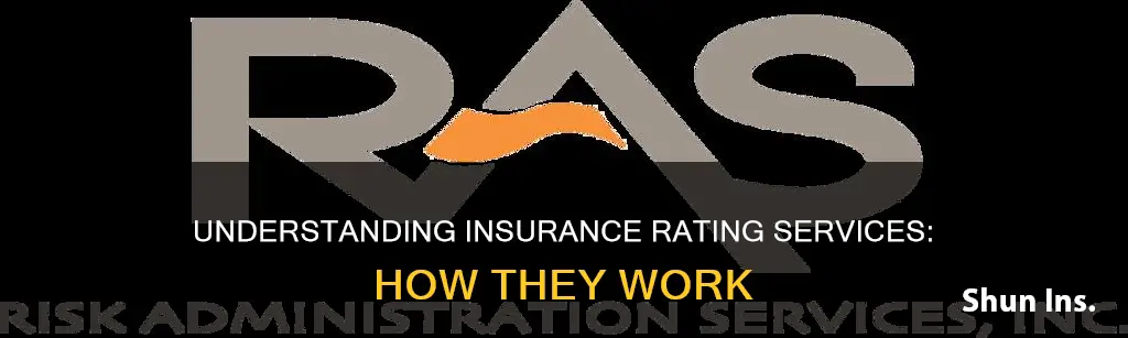 what is an insurance rating service
