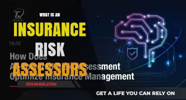 The Critical Role of Insurance Risk Assessors