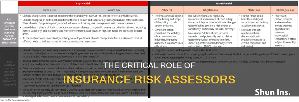 what is an insurance risk assessors