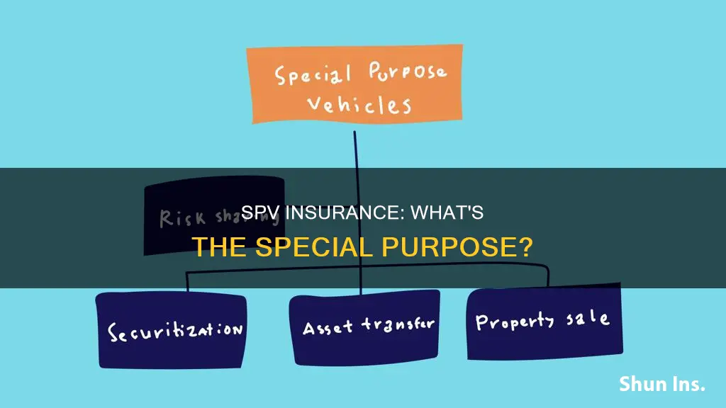 what is an insurance special purpose vehicle