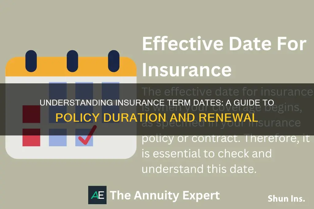 what is an insurance term date