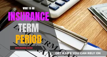 Understanding the Insurance Term Period: Unraveling the Fine Print