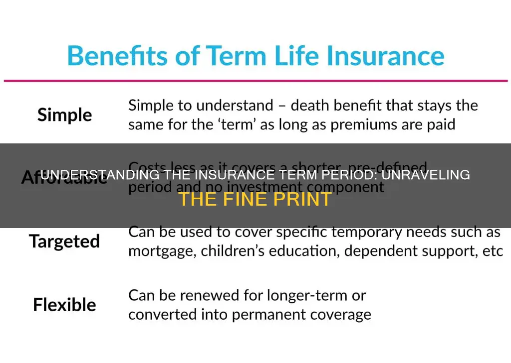 what is an insurance term period