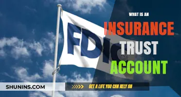 Trust Accounts: Insurance Policy Funds Safekeeping