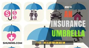 Understanding Insurance Umbrella Policies: Extra Protection for Your Peace of Mind