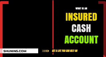 Insured Cash Accounts: A Secure Investment Option