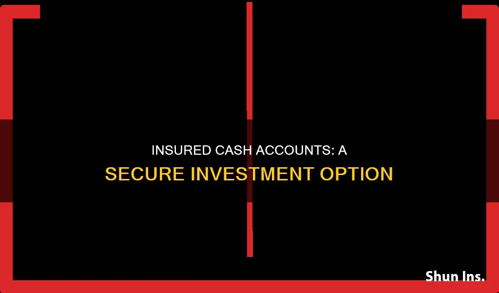 what is an insured cash account