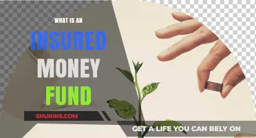 Insured Money Funds: A Safe Investment Option