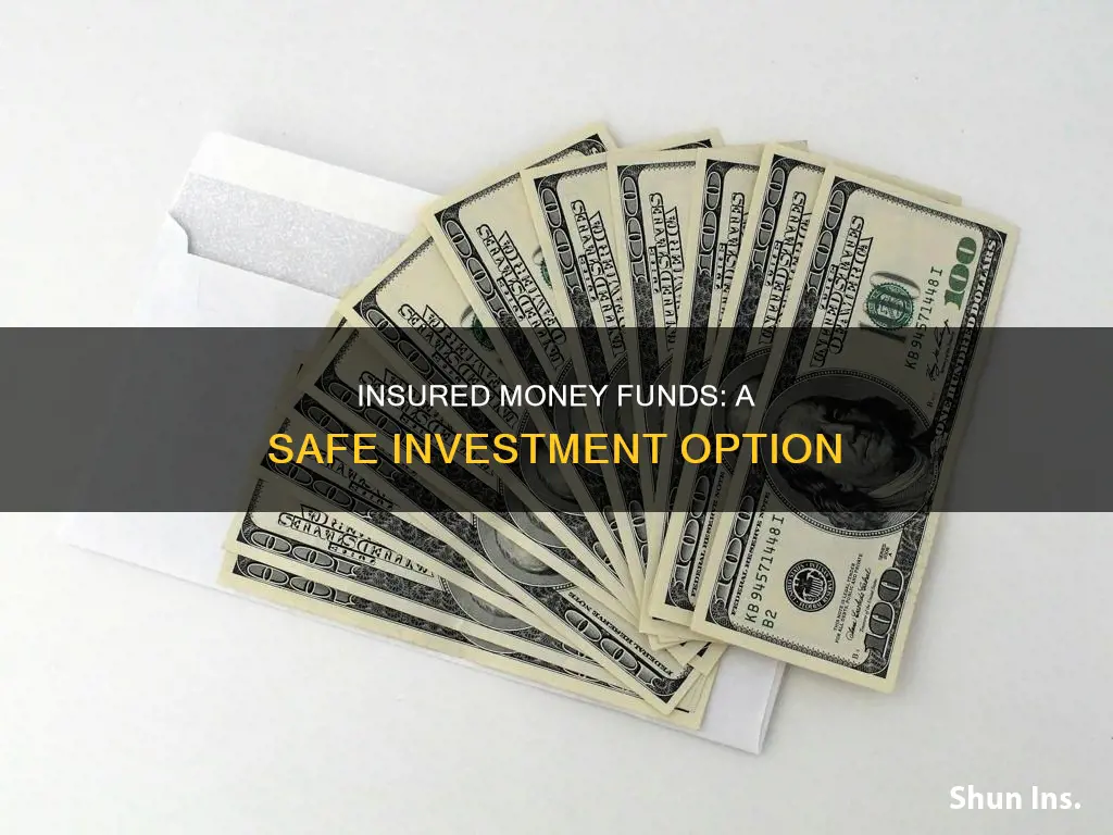 what is an insured money fund