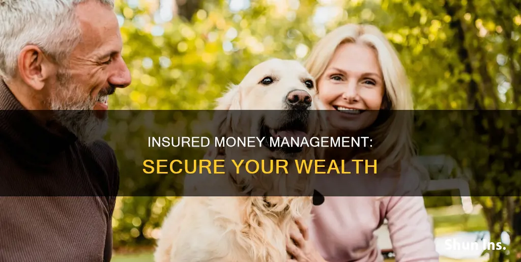 what is an insured money management account