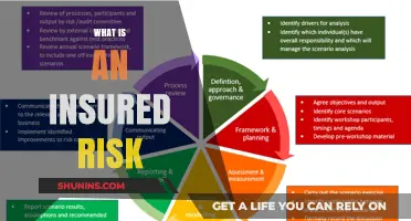 Understanding Insured Risks: What's Covered and What's Not