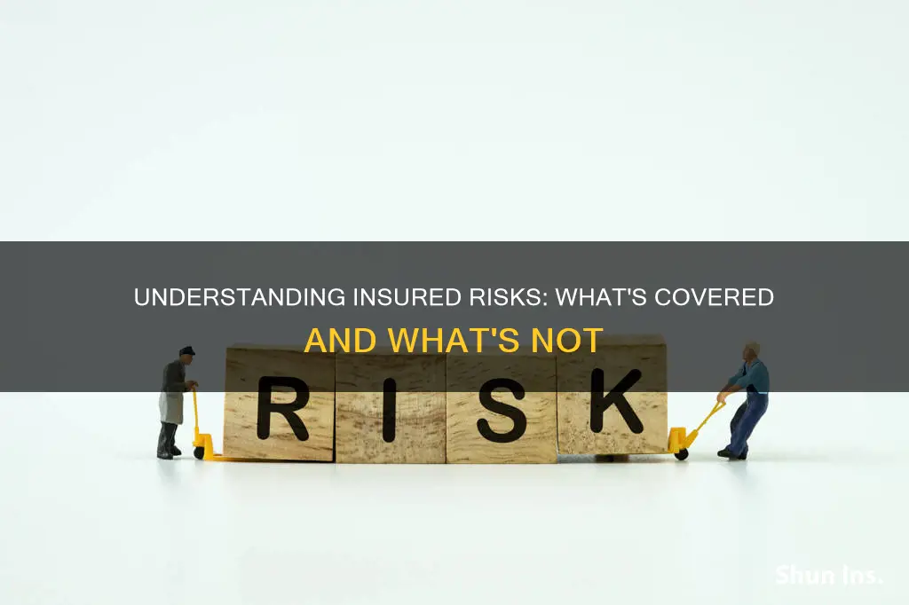 what is an insured risk