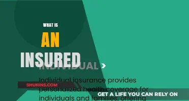 Understanding Insured Individuals: Definition, Benefits, and Coverage Essentials