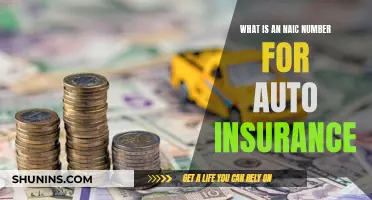 NAIC Number: Auto Insurance's Secret Code