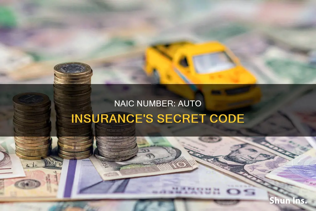 what is an naic number for auto insurance