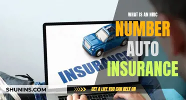 Understanding NRIC Number Auto Insurance in Singapore