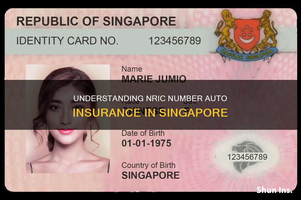 what is an nric number auto insurance