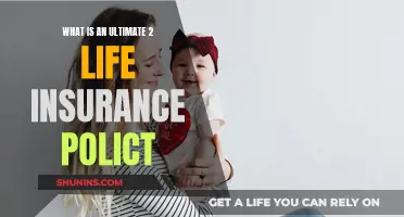 Understanding Ultimate 2 Life Insurance Policies: Maximizing Benefits