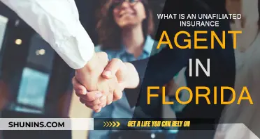 Unaffiliated Insurance Agents: Florida's Independent Option