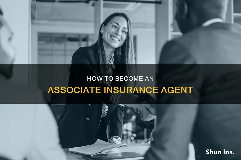 what is anassociate insurance agent