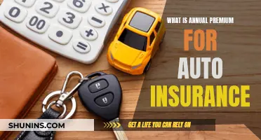 Auto Insurance Annual Premium: How Much Does It Cost?