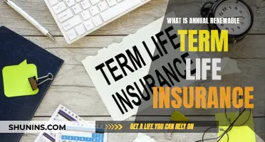 Term Life Insurance: Annual Renewable Coverage Explained