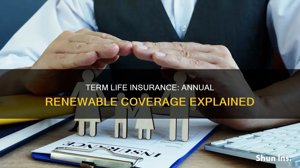 what is annual renewable term life insurance