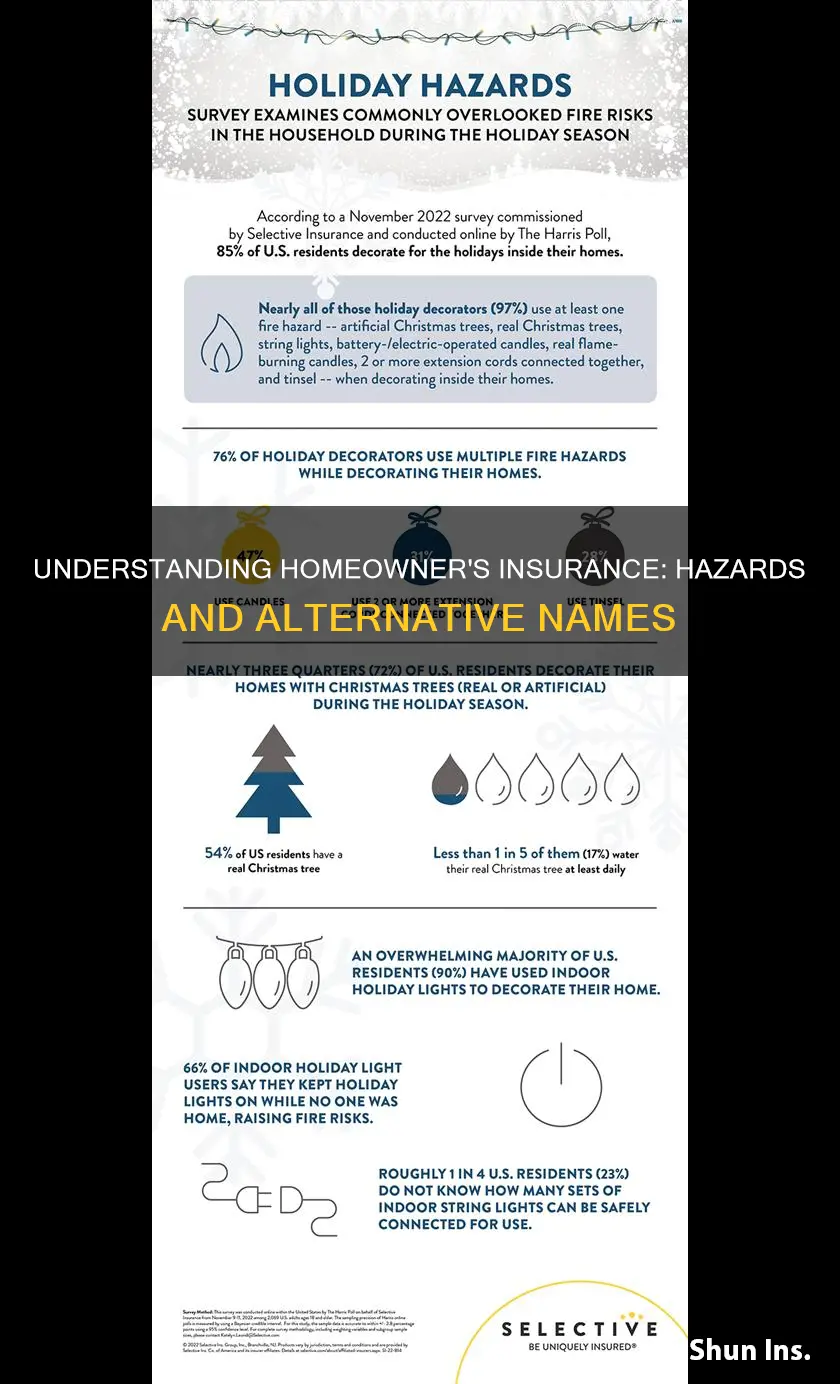 what is another name for homeowner