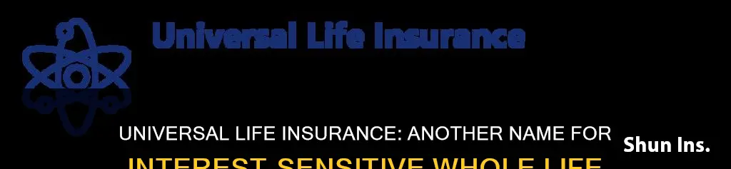 what is another name for interest-sensitive whole life insurance