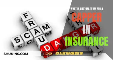 Uncovering the Mystery of 'Cappers': Understanding Insurance Terminology