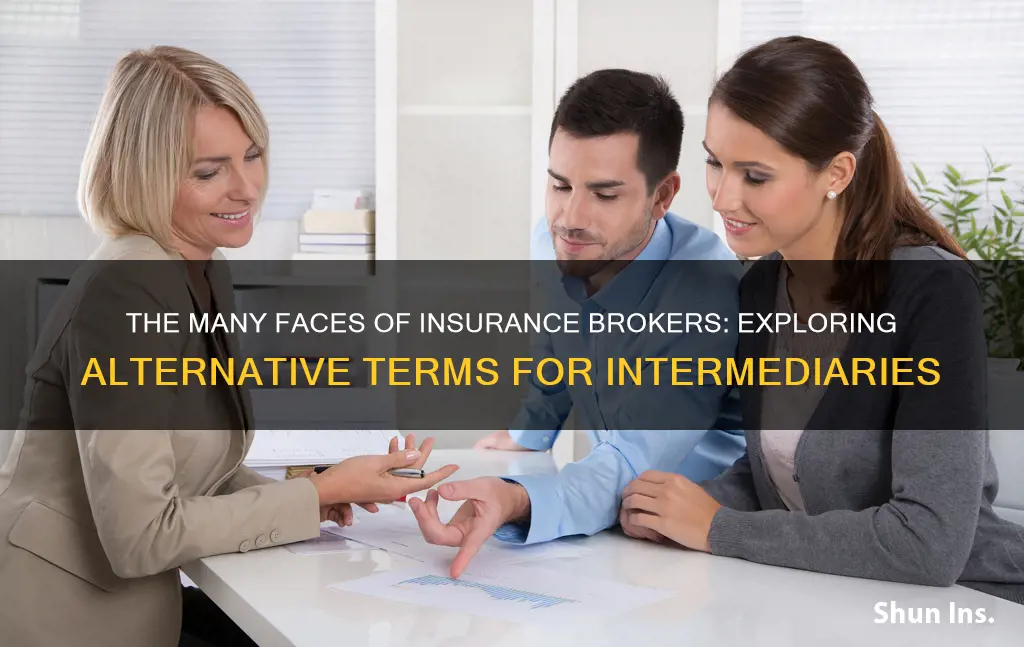 what is another term for an insurance intermediary