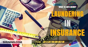 Anti-Money Laundering: Insurance Industry's Battle Against Illicit Funds
