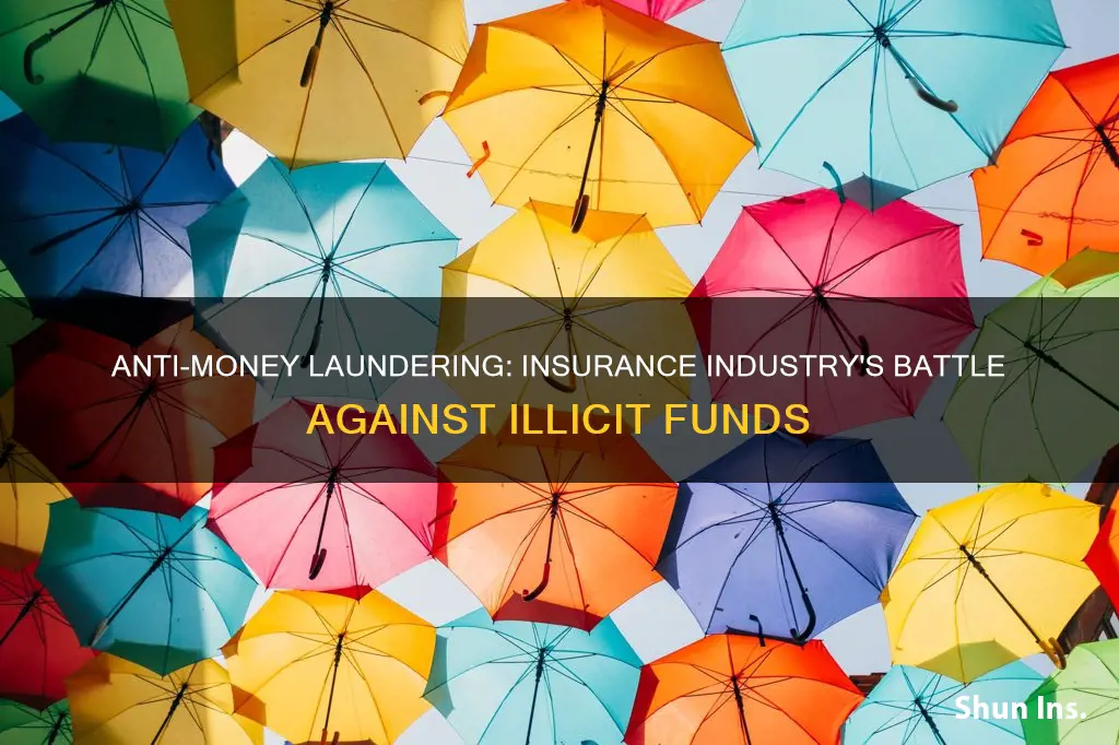 what is anti money laundering in insurance