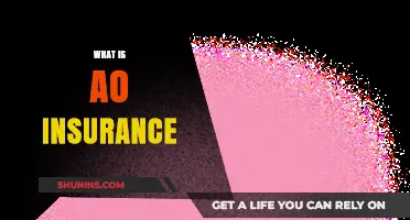 Understanding AO Insurance: Coverage, Benefits, and Why It Matters