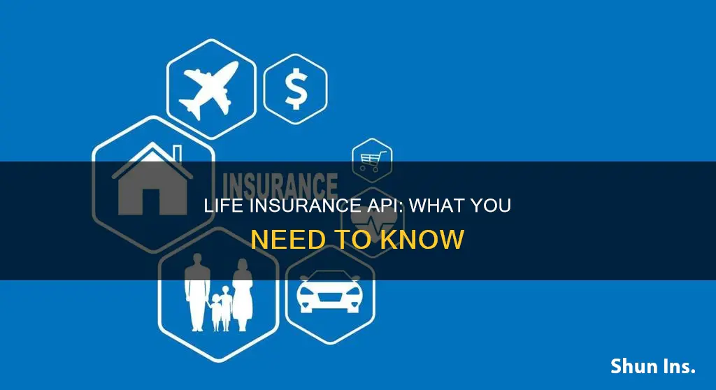 what is api in life insurance