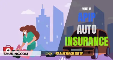 Explore APIP Auto Insurance: What It Is and Who It's For