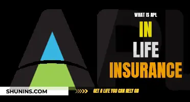 Life Insurance 101: Understanding APL Policies