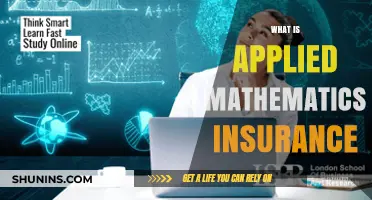 Applied Mathematics: Insuring Our Future